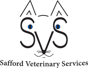 Safford Veterinary Services